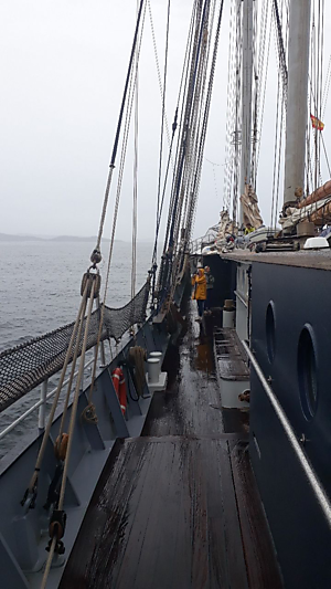 Eerste sailmail van de kapitein van de Wylde Swan 2019-2020